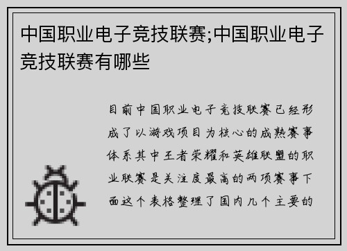 中国职业电子竞技联赛;中国职业电子竞技联赛有哪些